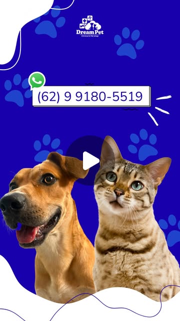 Capa do vídeo da Dream Pet com cachorro, gato e contato da clínica